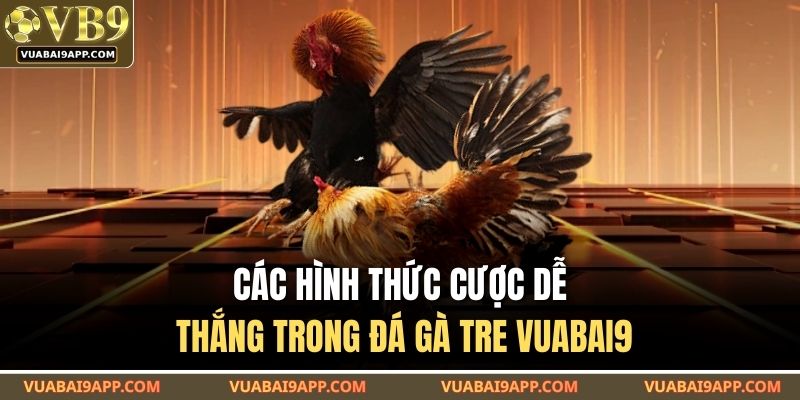 Các hình thức cược dễ thắng trong đá gà tre VUABAI9