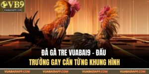 Đá gà tre VUABAI9