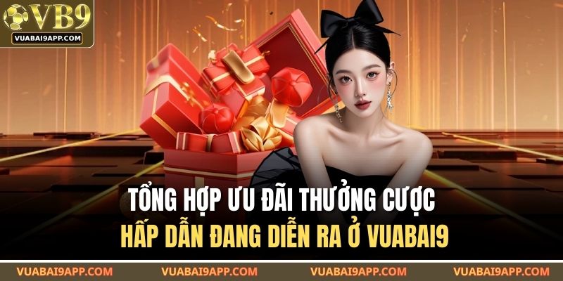 Tổng hợp vấn đề người chơi hay gặp khi dùng VUABAI9