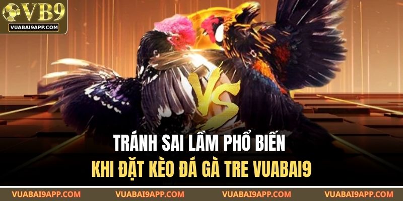 Tránh sai lầm phổ biến khi đặt kèo đá gà tre VUABAI9